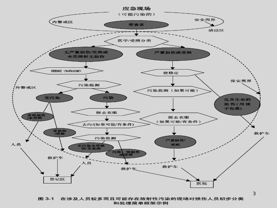 放射性污染的医学处理教材(PPT 49页)_第3页