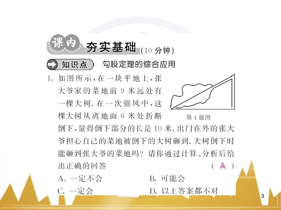 九年级英语上册 Module 11 Photos基础梳理课件 （新版）外研版 (570)_第3页