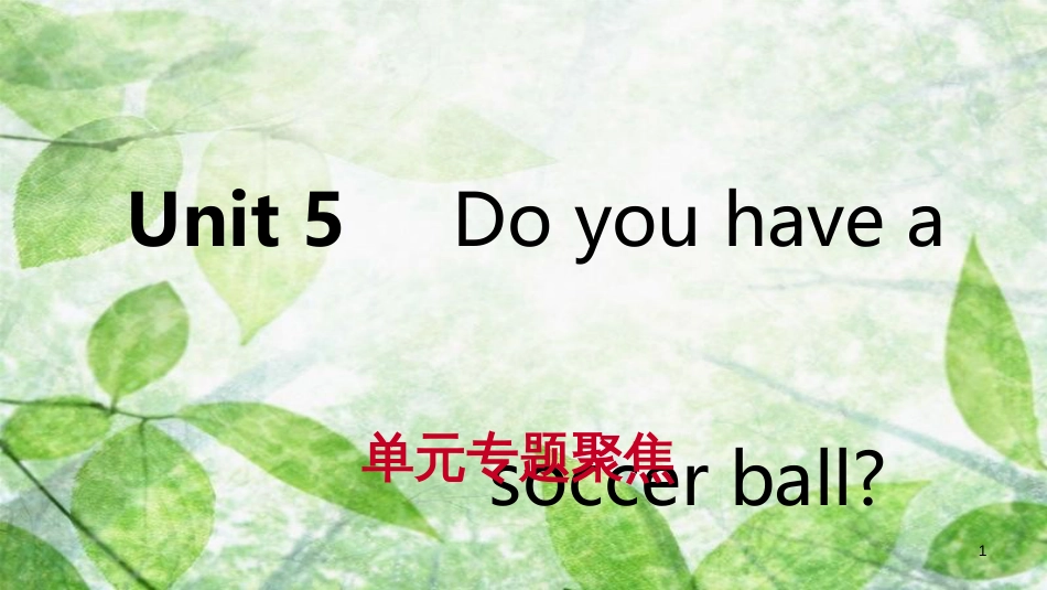 七年级英语上册 Unit 5 Do you have a soccer ball单元专题聚焦优质课件 （新版）人教新目标版_第1页