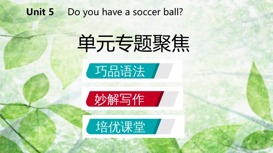 七年级英语上册 Unit 5 Do you have a soccer ball单元专题聚焦优质课件 （新版）人教新目标版_第2页