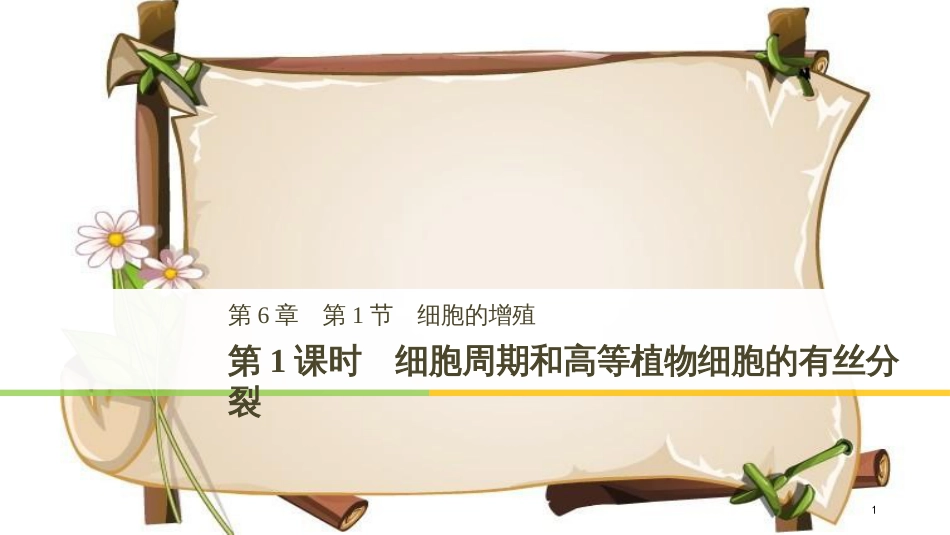 （全国通用版）高中生物 第六章 细胞的生命历程 第1节 第1课时 细胞周期和高等植物细胞的有丝分裂课件 新人教版必修1_第1页