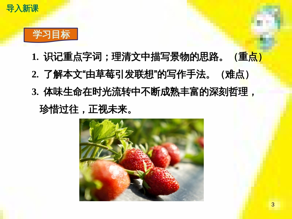 九年级语文上学期期中测试课件 新人教版 (99)_第3页