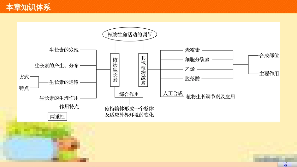 高中生物 第一单元 生物个体的稳态与调节 第一章 植物生命活动的调节章末整合课件 中图版必修3 (1)_第3页