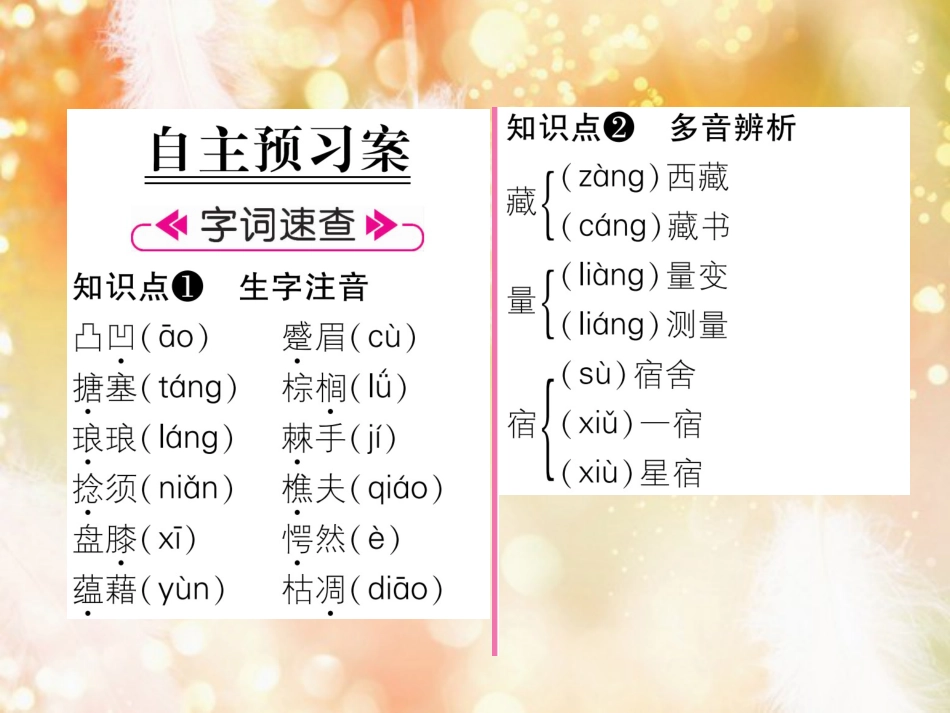 （遵义专版）九年级语文下册 7 黄蓉智斗书生课件 语文版_第2页