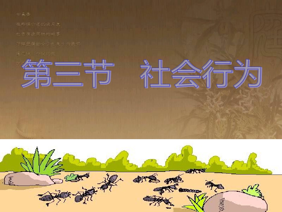 七年级生物上册 第二单元 第一章 第一二节综合课件 （新版）新人教版 (7)_第1页