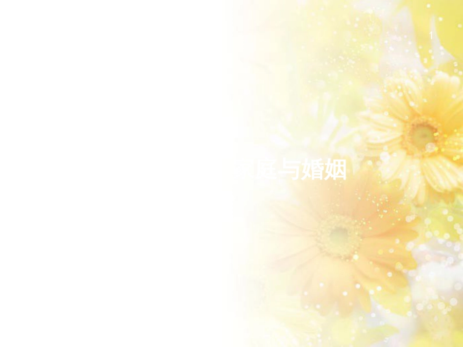 高考政治一轮复习 专题6 法律救济课件 新人教版选修5 (52)_第1页