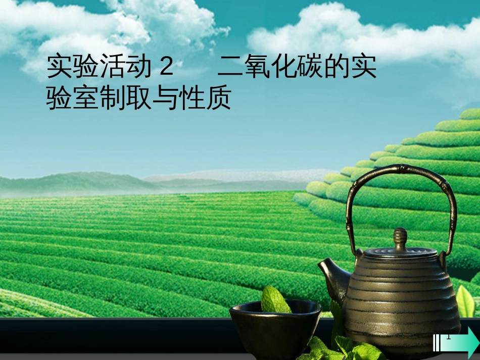 （全国通用版）九年级化学上册 第六单元 碳和碳的氧化物 实验活动2 二氧化碳的实验室制取与性质课堂导学课件 （新版）新人教版_第1页