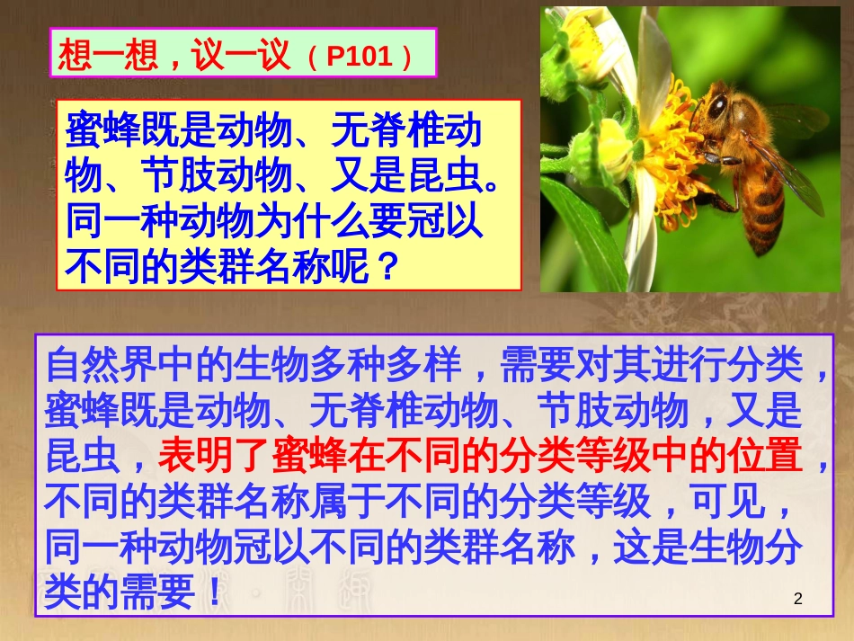 七年级生物上册 第二单元 第一章 第一二节综合课件 （新版）新人教版 (12)_第2页