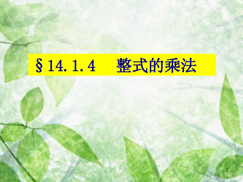 陕西省安康市石泉县池河镇八年级数学上册 14.1 整式的乘法 14.1.4 整式的乘法（2）课件 （新版）新人教版_第1页