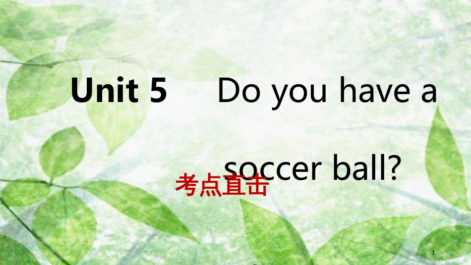 七年级英语上册 Unit 5 Do you have a soccer ball Section A考点直击优质课件 （新版）人教新目标版_第1页