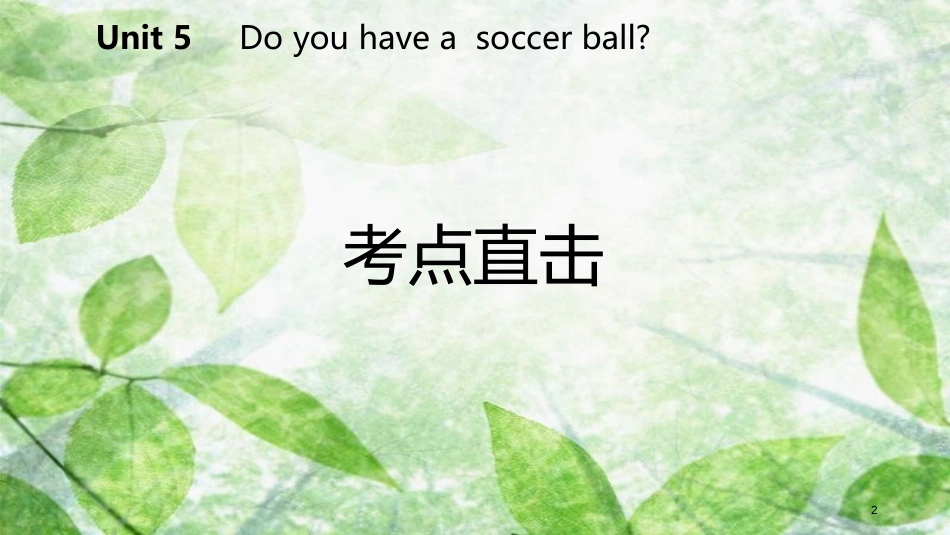 七年级英语上册 Unit 5 Do you have a soccer ball Section A考点直击优质课件 （新版）人教新目标版_第2页