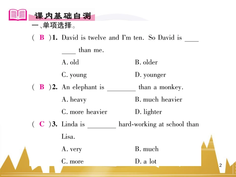 九年级英语上册 Module 11 Photos基础梳理课件 （新版）外研版 (811)_第2页