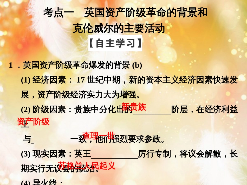 （浙江专用）高中历史 第三单元 欧美资产阶级革命时代的杰出人物 第1课时 英国革命的领导者克伦威尔课件 新人教版选修4_第3页