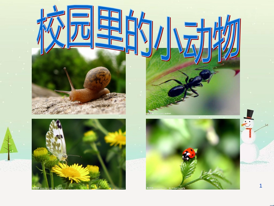三年级科学上册 第二章 第1课 动物的食物课件1 新人教版 (53)_第1页