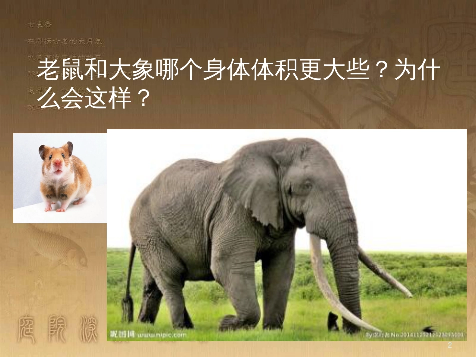 七年级生物上册 第二单元 第一章 第一二节综合课件 （新版）新人教版 (215)_第2页