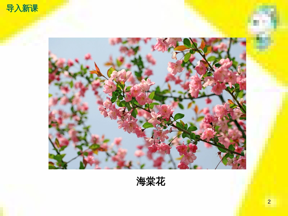 九年级语文上学期期中测试课件 新人教版 (96)_第2页