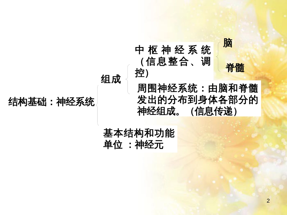 高中生物 第二册 5.2 神经系统中信息的传递和调节课件 沪科版_第2页