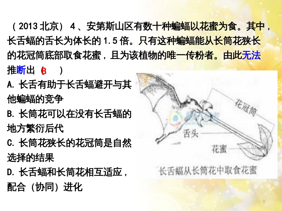 高中生物 变异习题精讲课件 新人教版_第2页