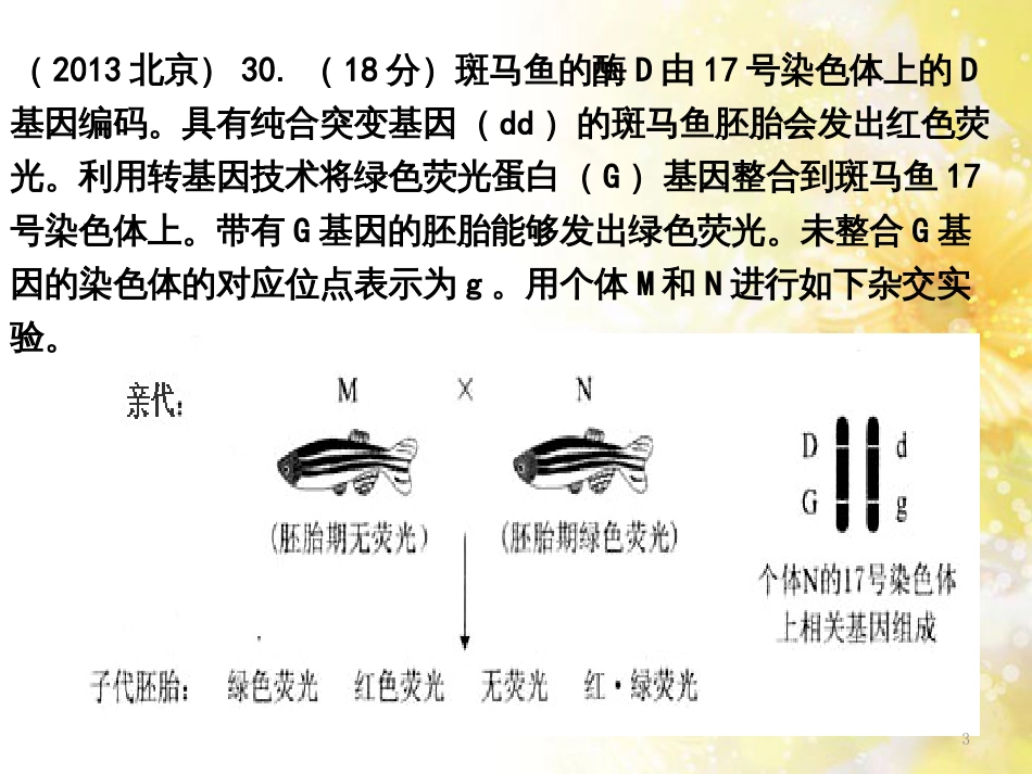 高中生物 变异习题精讲课件 新人教版_第3页