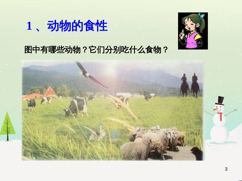 三年级科学上册 第二章 第1课 动物的食物课件1 新人教版 (1)_第3页