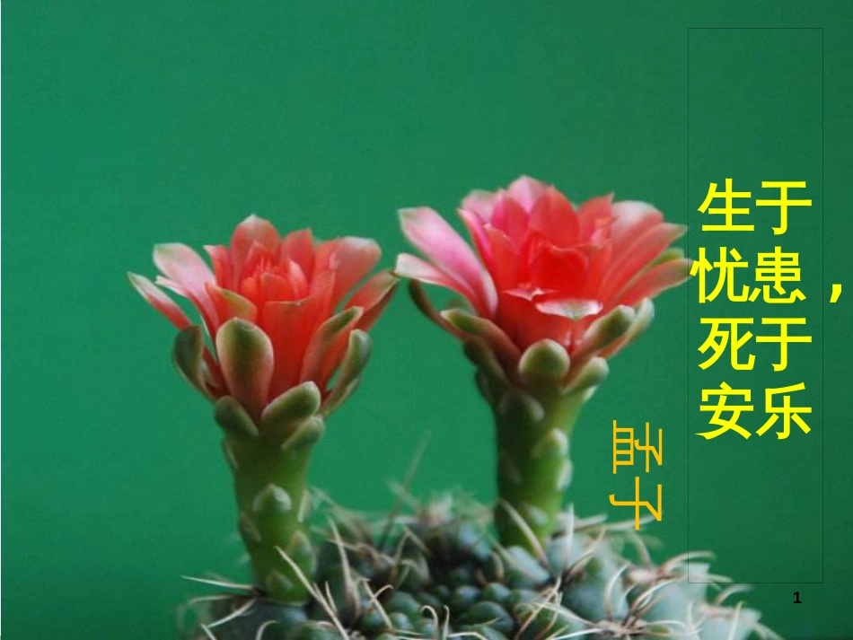 八年级语文上册 名著常识课件 语文版 (147)_第1页