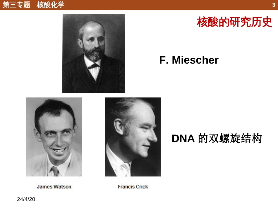 (5)--3.1 核酸的组成化学生物学导论_第3页