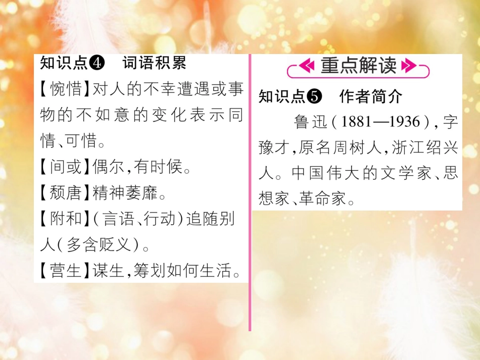 （遵义专版）九年级语文上册 5 孔乙己课件 语文版_第3页