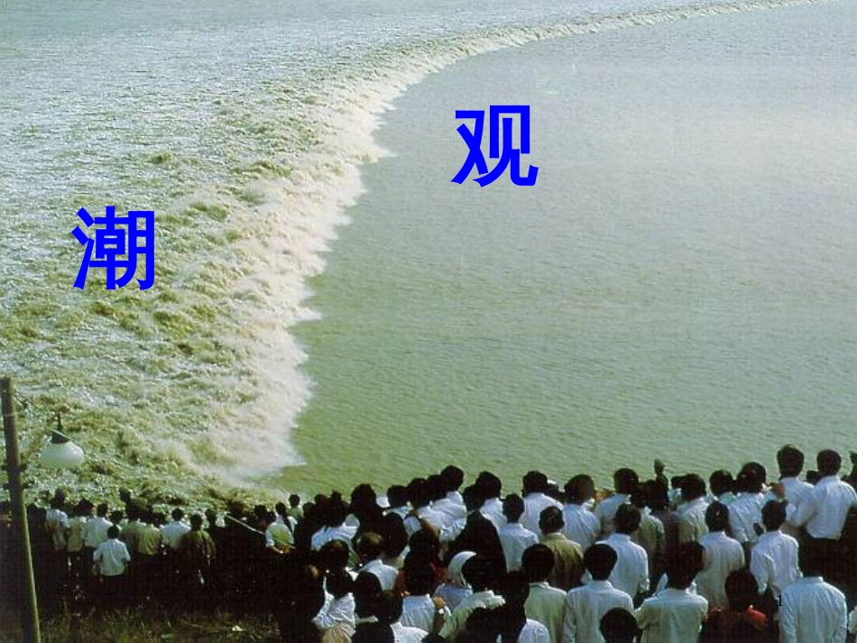 四年级语文上册 第七单元 观潮课件3 鄂教版_第1页