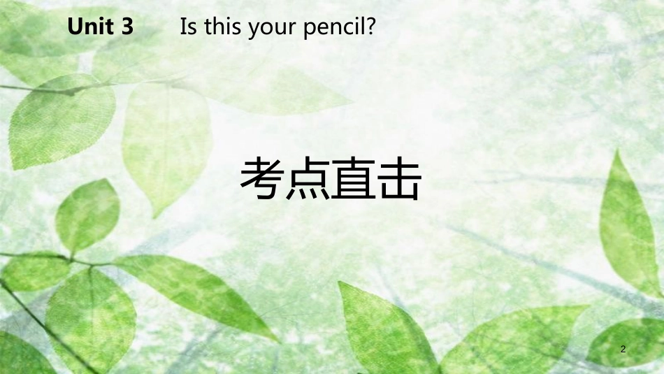 七年级英语上册 Unit 3 Is this your pencil Section A考点直击优质课件 （新版）人教新目标版_第2页