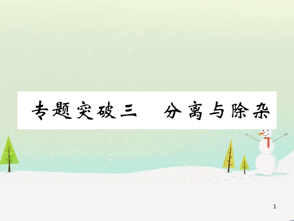 中考化学毕业总复习 第2编 重点专题突破篇 专题突破1 共存问题课件 (6)_第1页