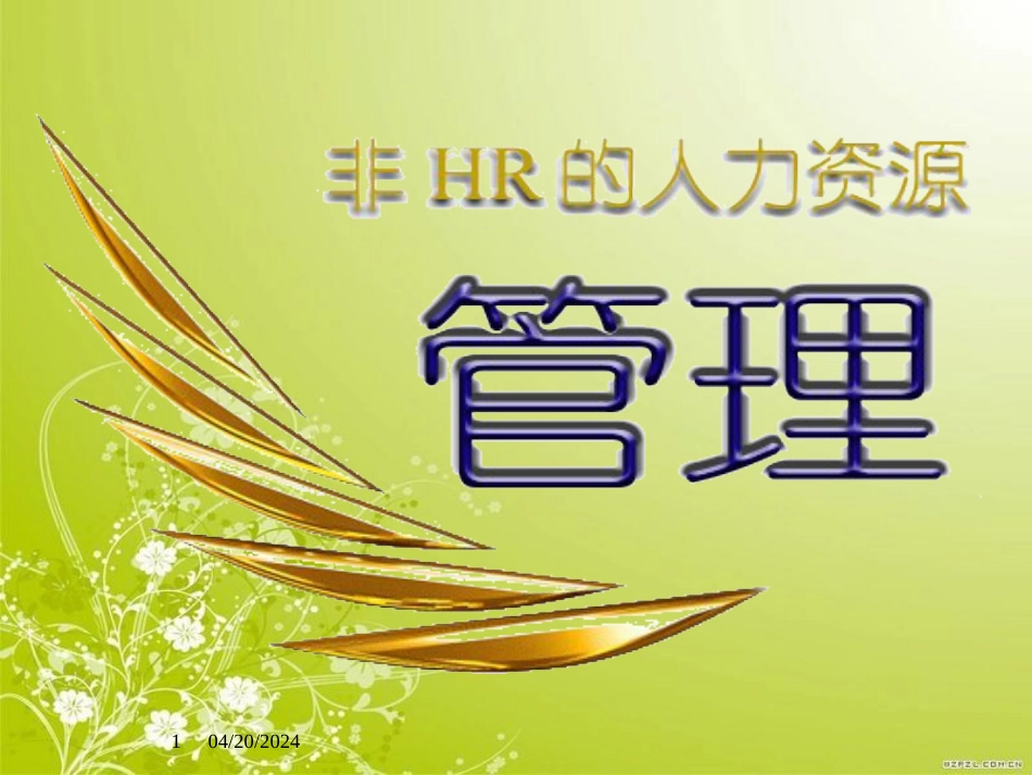 非HR分析人力资源绩效管理方案(ppt 48页)_第1页