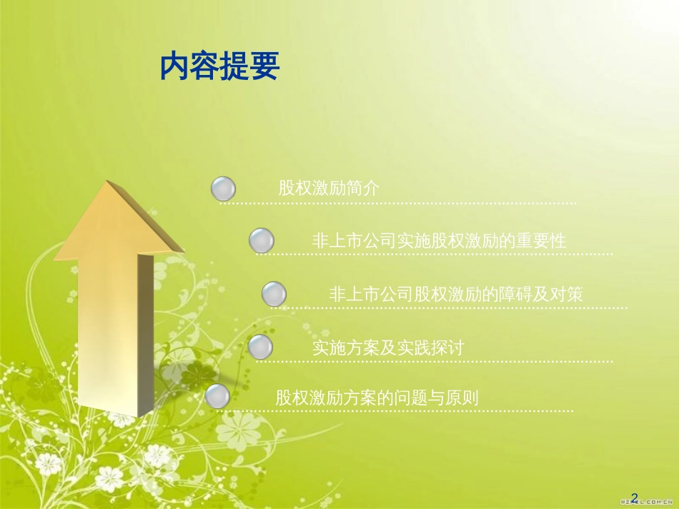 非上市公司股权激励方案(ppt 33页)_第2页