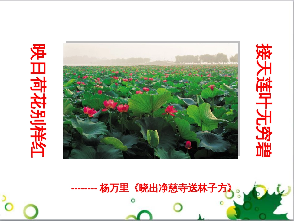 八年级语文上册 名著常识课件 语文版 (137)_第1页