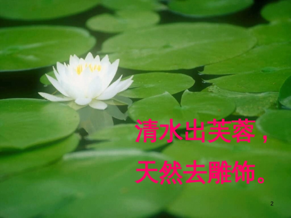 八年级语文上册 名著常识课件 语文版 (137)_第2页