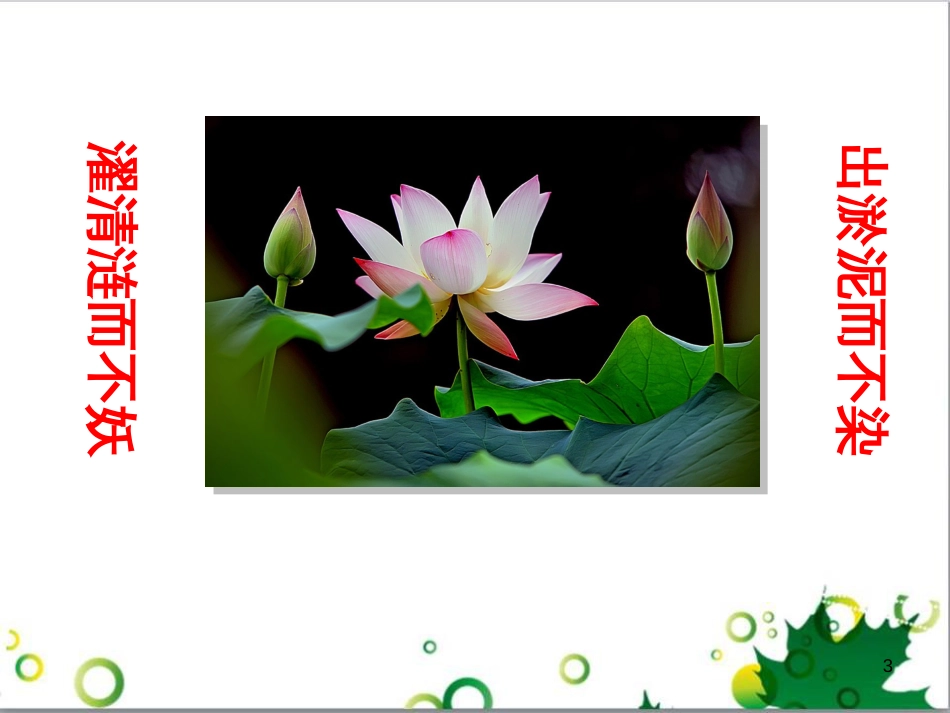 八年级语文上册 名著常识课件 语文版 (137)_第3页