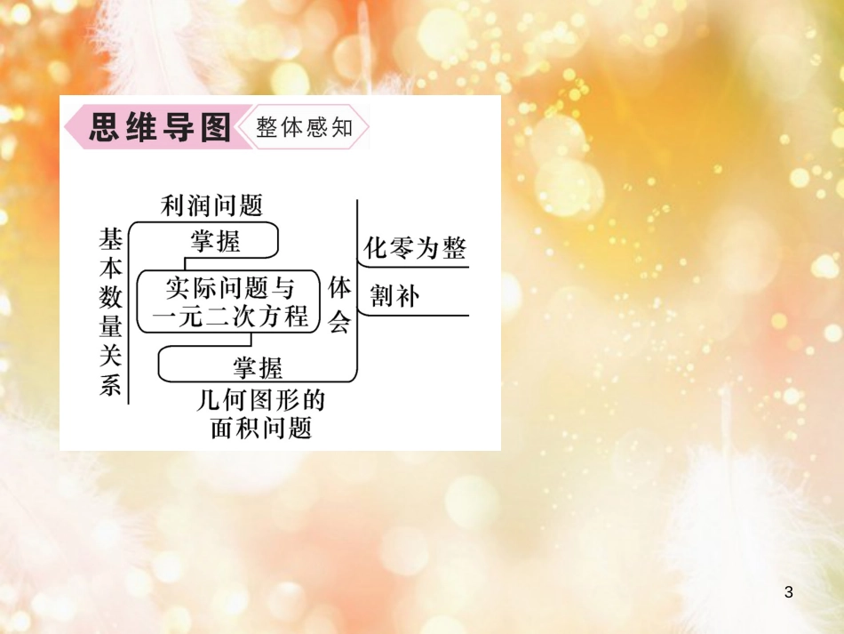 （遵义专版）九年级数学上册 第21章 一元二次方程 21.3 实际问题与一元二次方程 第2课时 利润问题与几何图形的面积问题习题课件 （新版）新人教版_第3页