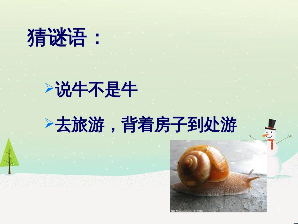 三年级科学上册 第二章 第1课 动物的食物课件1 新人教版 (55)_第3页