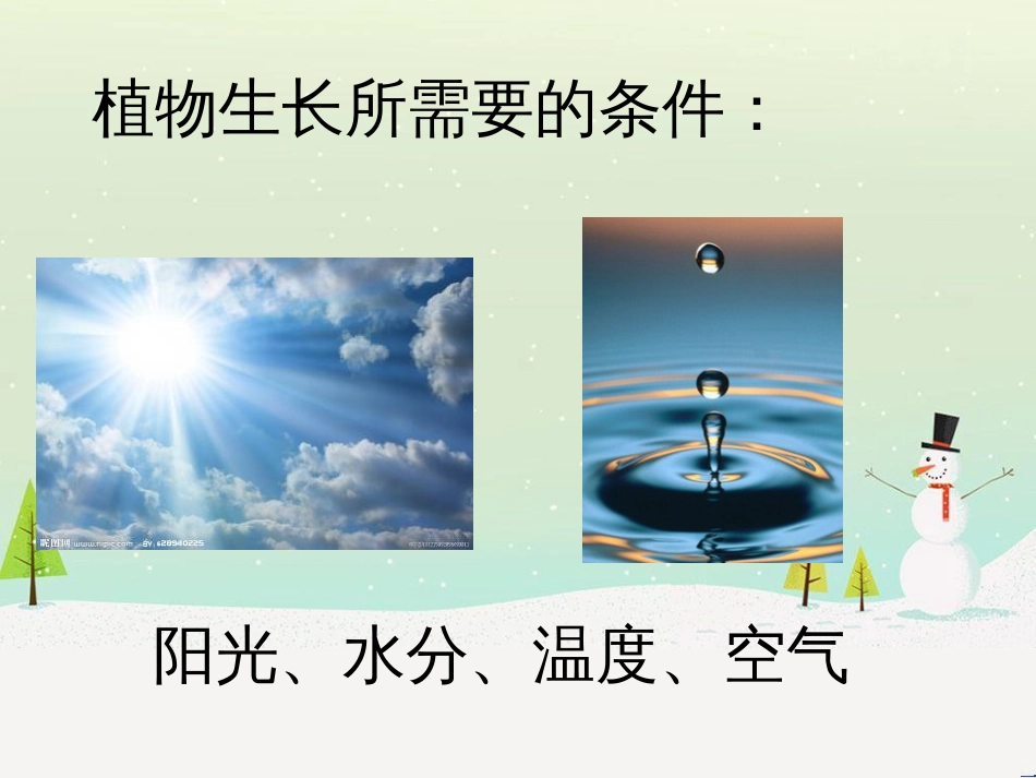 三年级科学上册 第二章 第1课 动物的食物课件1 新人教版 (69)_第2页