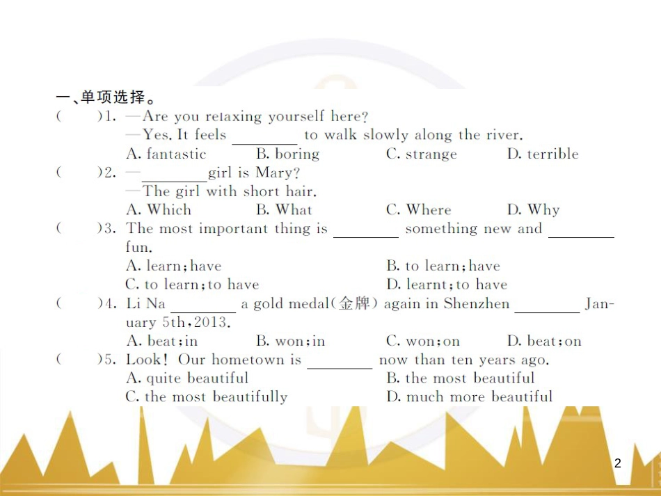 九年级英语上册 Module 11 Photos基础梳理课件 （新版）外研版 (816)_第2页