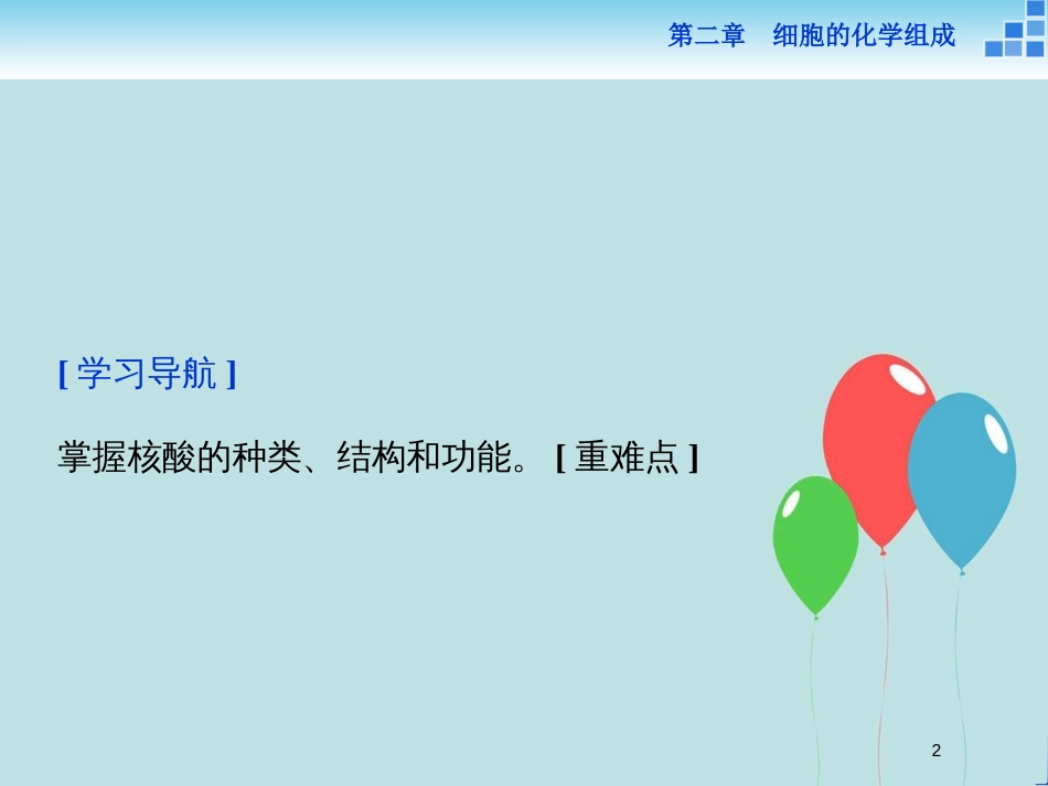 高中生物 第二章 细胞的化学组成 第二节 细胞中的生物大分子 第3讲 核酸的结构和功能课件 苏教版必修1_第2页