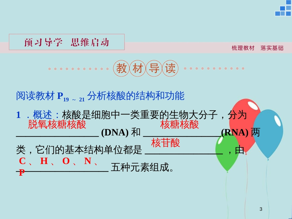 高中生物 第二章 细胞的化学组成 第二节 细胞中的生物大分子 第3讲 核酸的结构和功能课件 苏教版必修1_第3页