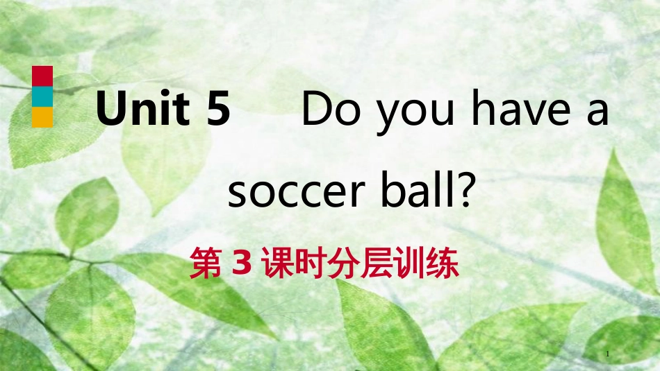 七年级英语上册 Unit 5 Do you have a soccer ball（第3课时）分层训练优质课件 （新版）人教新目标版_第1页