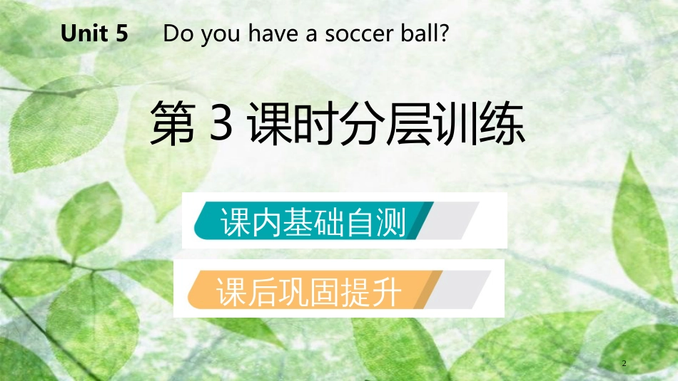 七年级英语上册 Unit 5 Do you have a soccer ball（第3课时）分层训练优质课件 （新版）人教新目标版_第2页