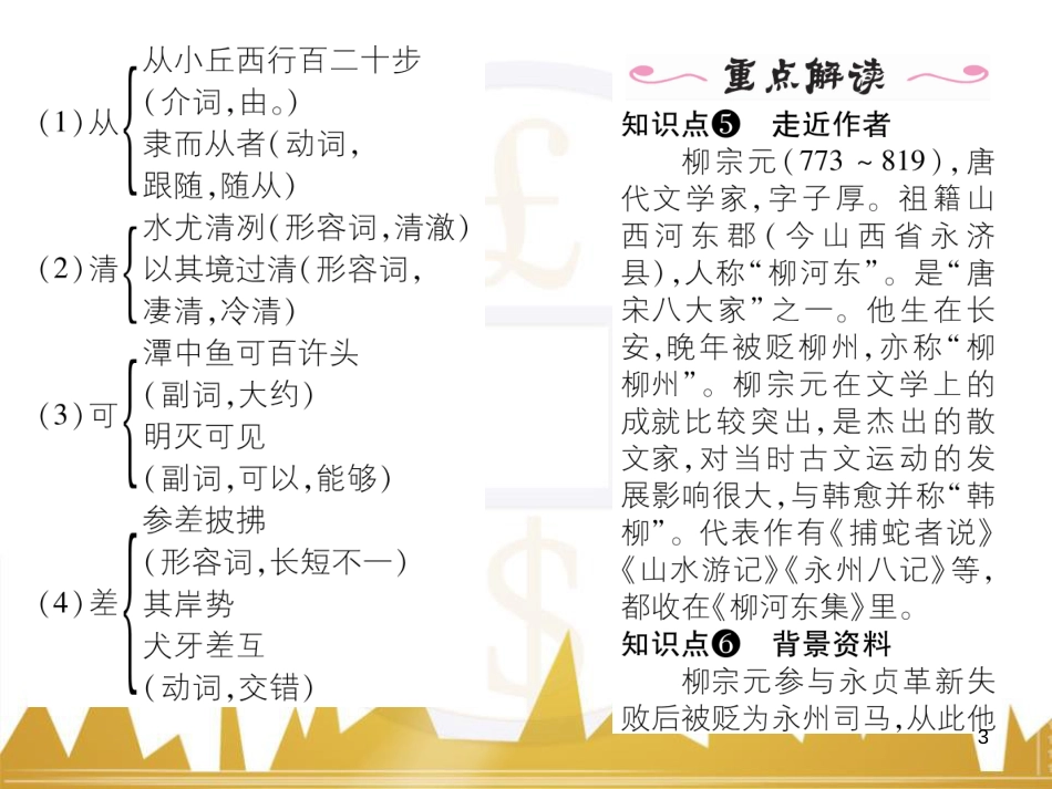 九年级英语上册 Module 11 Photos基础梳理课件 （新版）外研版 (1106)_第3页