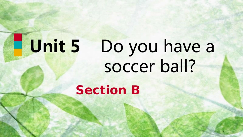 七年级英语上册 Unit 5 Do you have a soccer ball Section B优质课件 （新版）人教新目标版_第1页