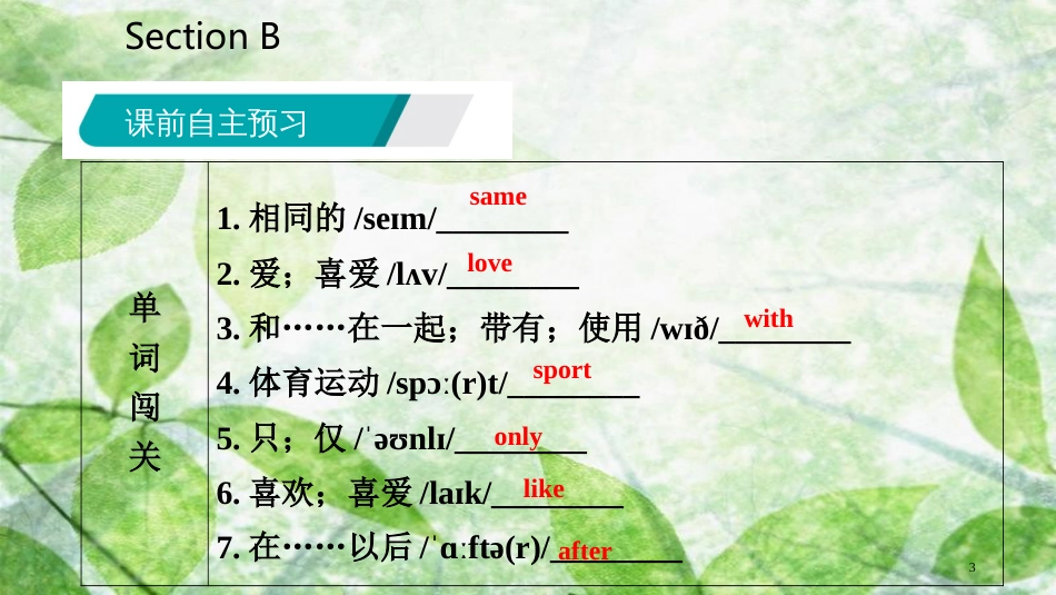 七年级英语上册 Unit 5 Do you have a soccer ball Section B优质课件 （新版）人教新目标版_第3页