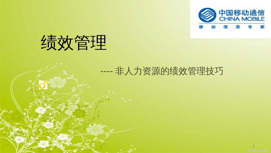 非人力资源的绩效管理技巧教材(PPT 42页)_第1页