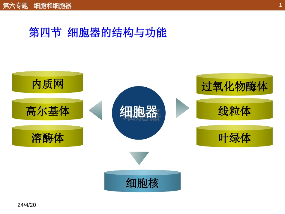 (15)--6.4 细胞器和功能_第1页