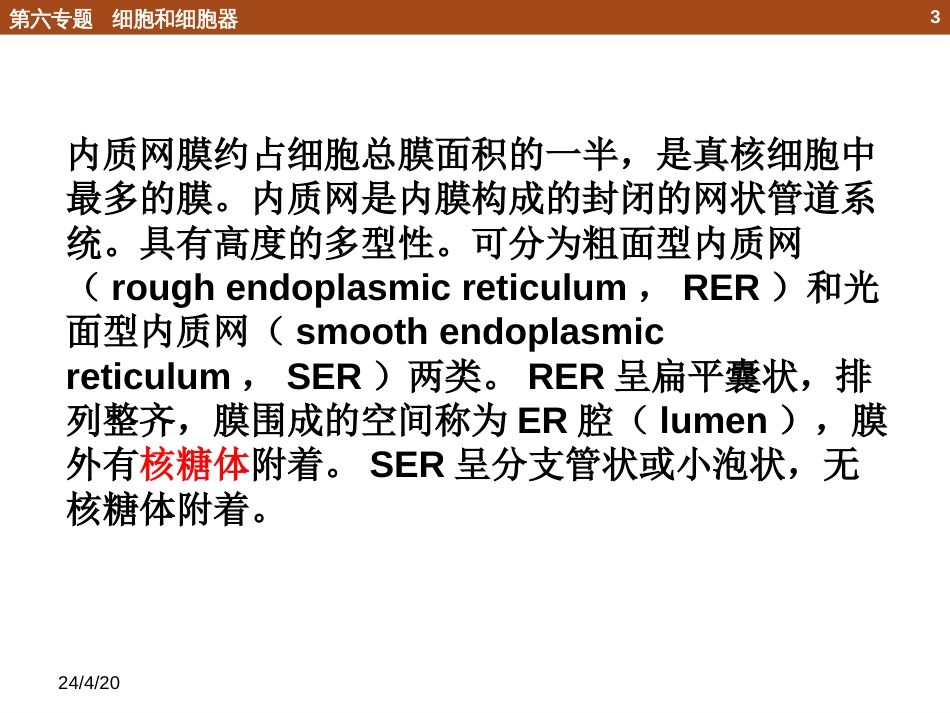 (15)--6.4 细胞器和功能_第3页