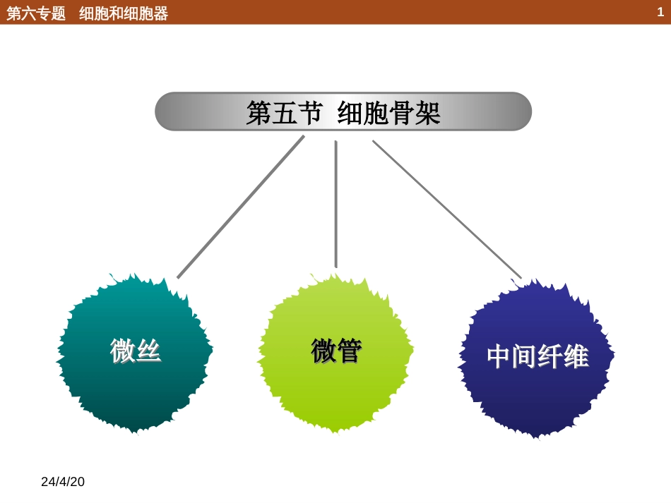 (16)--6.5 细胞骨架化学生物学导论_第1页